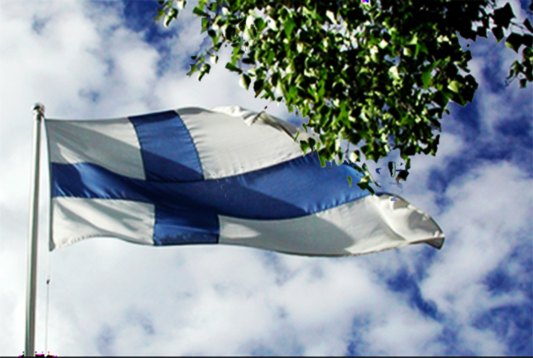 Suomen lippu ja koivunoksia