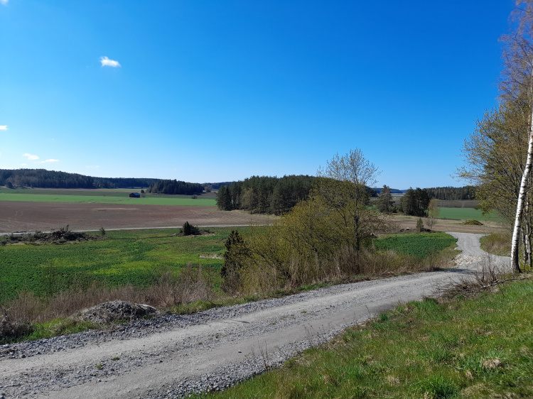 Keväinen luonto tien ympärillä